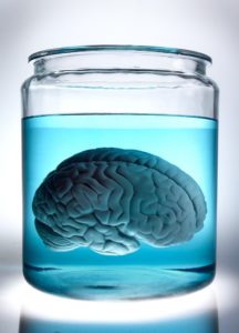 brain in a vat hilary putnam