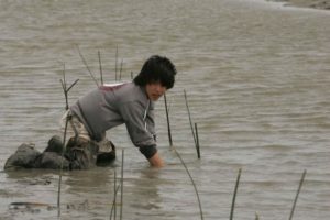 the swampman Davison